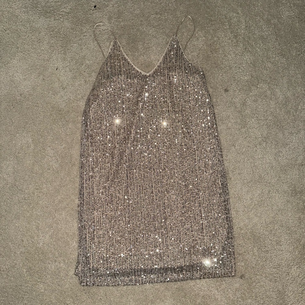 Red Dress Boutique Silver Sequin Mini Dress
